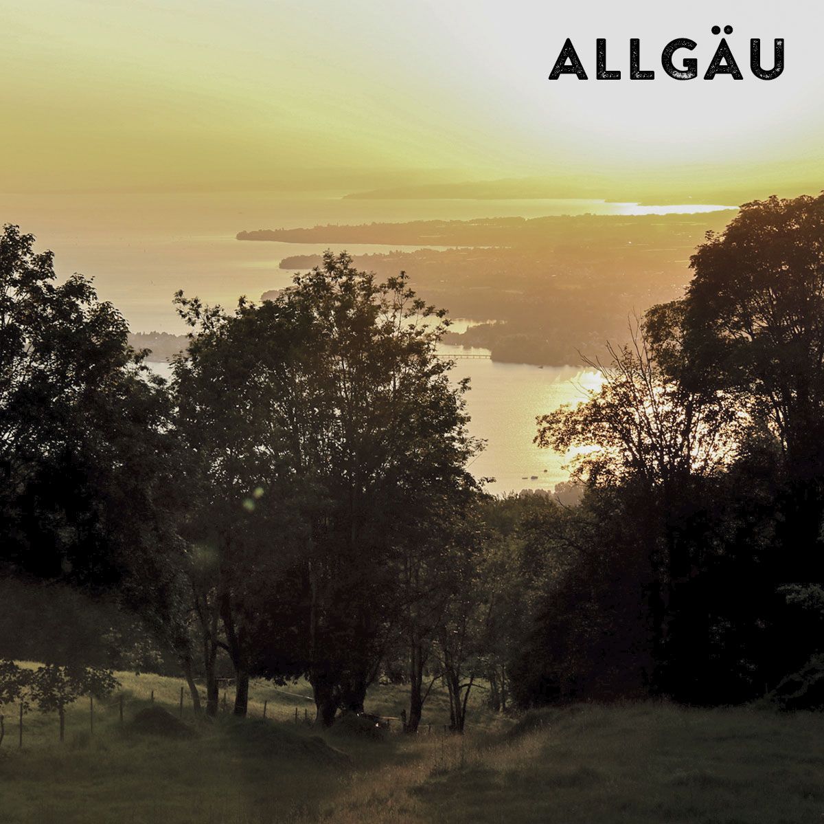 Abendstimmung mit einem bewaldeten Hügel und im Hintergrund der Bodensee sowie der Schriftzug "Allgäu"