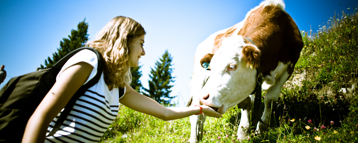 Junge Frau füttert eine Kuh auf einer saftigen Wiese