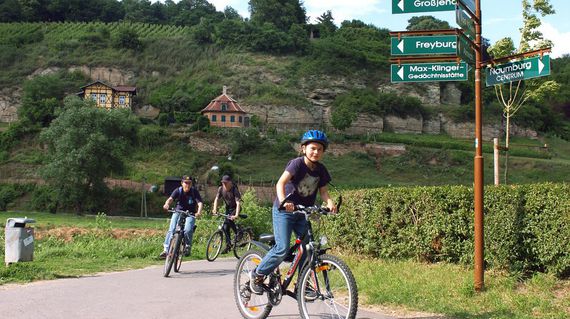 Radfahren zwischen Weinbergen bei Naumburg