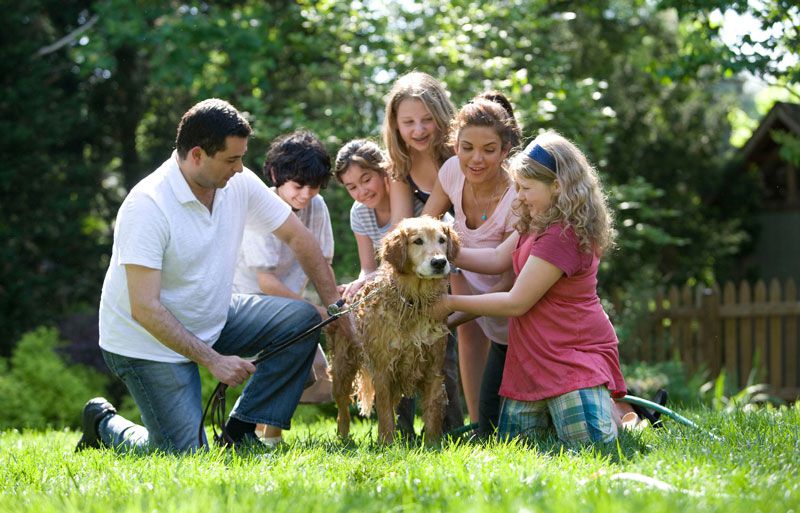 Familie in der Jugendherberge mit Hund