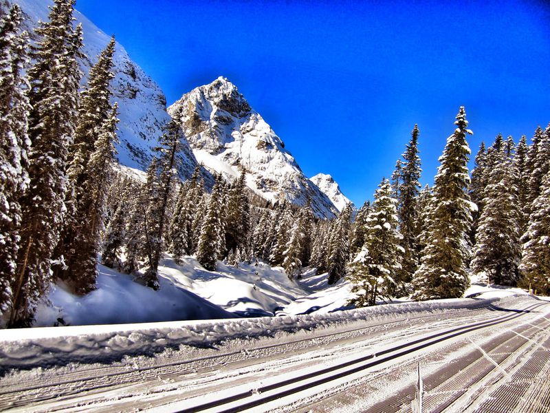 Eine kaum von Schnee geräumte Straße durch einen lichten Wald, im Hintergrund Berge und über allem ein strahlend blauer Himmel