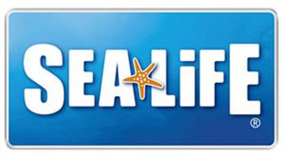 SEA-LIFE