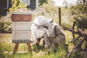 Bienenstock - Bienenmäßig drauf