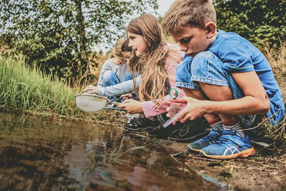 Kinder erforschen mit einem Sieb und Lupen ein Gewässer