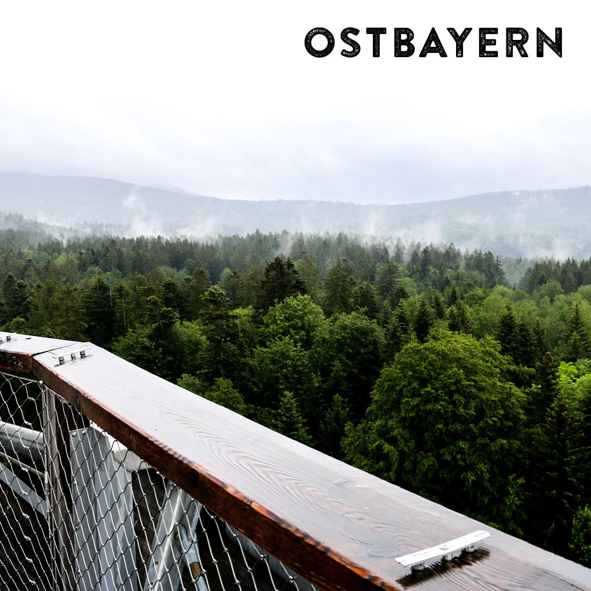 Das Bild wird dominiert von einem Mischwald, der im Hintergrund im Nebel verschwindet. Im Vordergrund befindet sich ein Metallgeländer. Oben rechts im Foto steht der Schriftzug "Ostbayern".