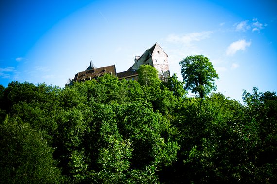 Burg Rothenfels auf einem bewaldeten Hügel