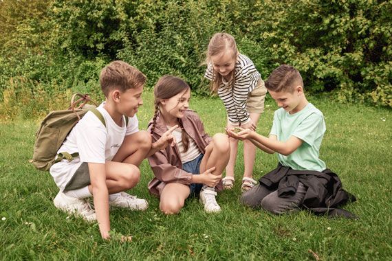 Vier Kinder sitzen auf einer Wiese und schauen einen Frosch an. 