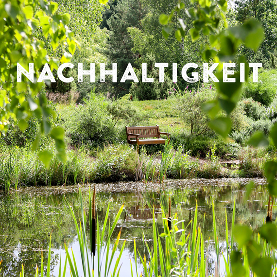 Das Foto zeigt wilde grüne Natur, im Vordergrund einen zugewachsenen See, im Zentrum des Fotos eine Holzbank. Im oberen Teil des Bildes ist dem Foto der Schriftzug "Nachhaltigkeit" überlagert.