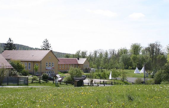 Urwald-Live-Camp in Lauterbach
