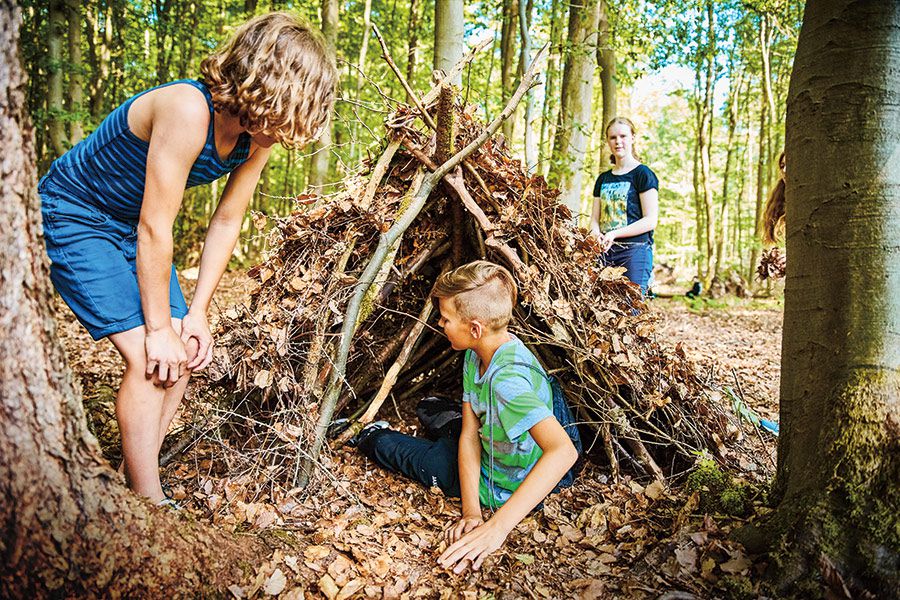 Wandertouren im Reinhardswald mit Kindern