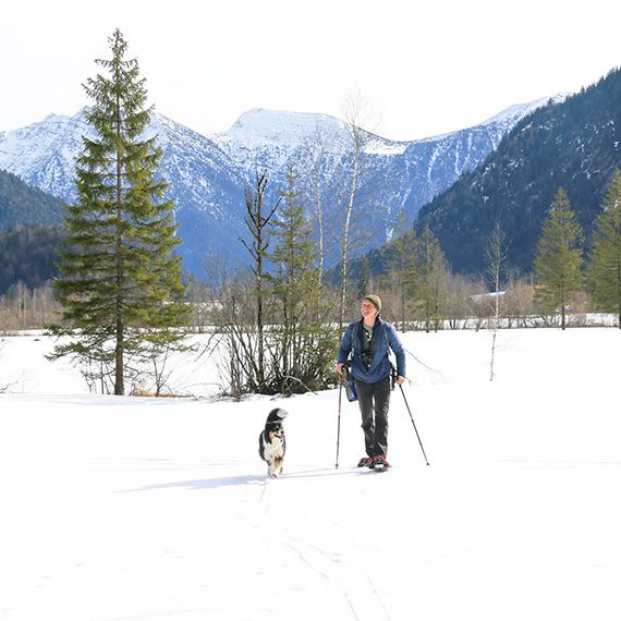 Eine Wanderin mit Schneeschuhen und Wanderstöcken in einer Schneelandschaft, von einem Hund begleitet.