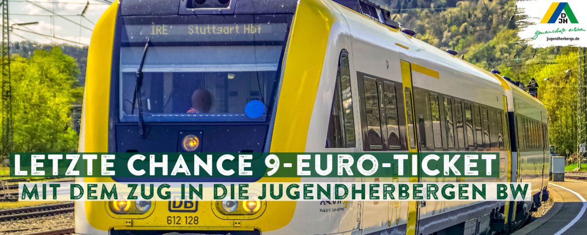 Zug - 9-Euro-Ticket