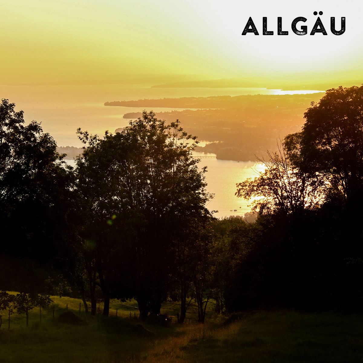 Abendstimmung mit einem bewaldeten Hügel und im Hintergrund der Bodensee sowie der Schriftzug "Allgäu"