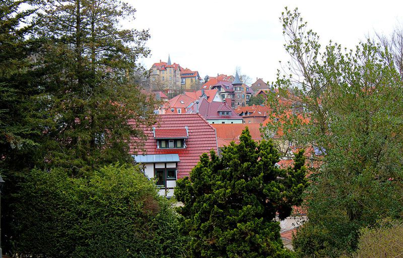 Blick auf Eisenach durch Bäume 