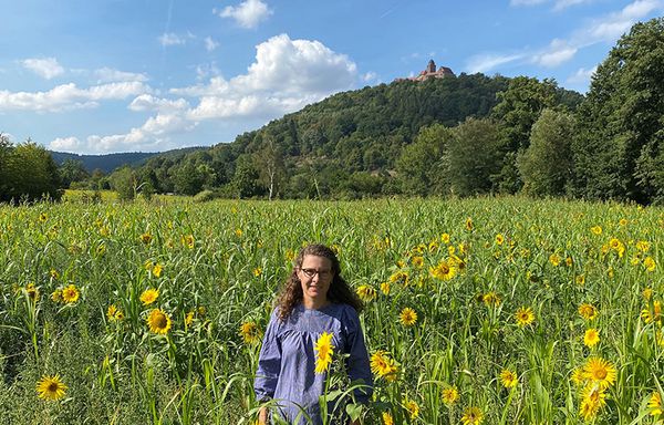 Sonnenblumenfeld im Familienurlaub in der Jugendherberge Burg Breuberg