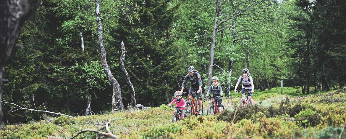 Mutter und Vater fahren Mountainbike im Wald mit zwei Kindern