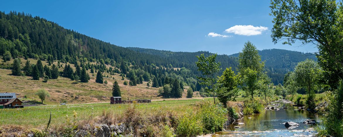 Schwarzwaldangebote für Familien im Sommer und Herbst