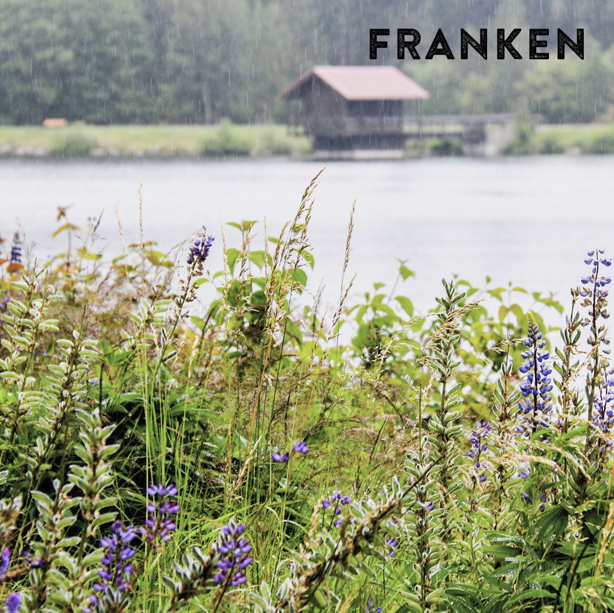 Das Foto zeigt einen See mit einer Bootshütte im Hintergrund und einer blühenden Wiese im Vordergrund.