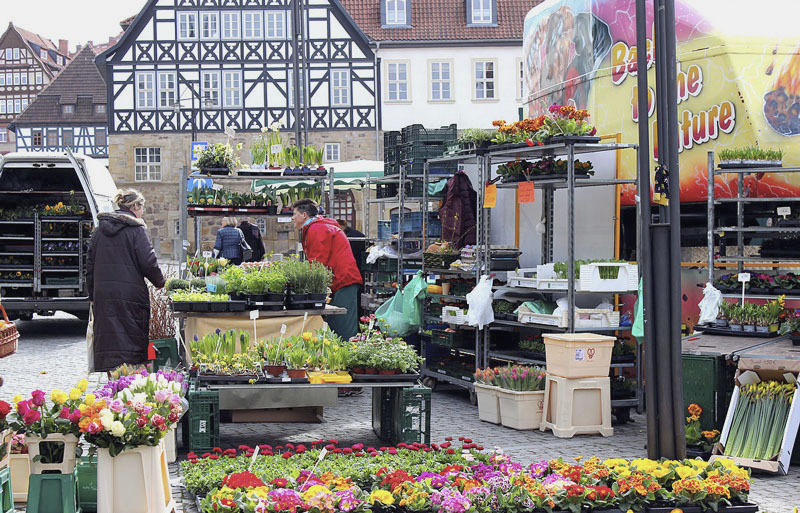 Blumen auf Markt in Eisenach