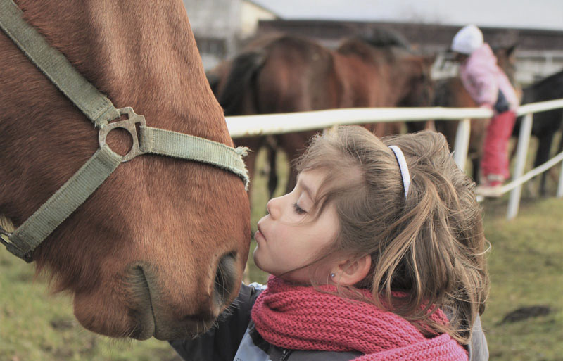 Kind in den Reiterferien mit einem Pferd 