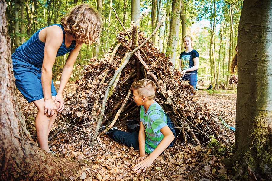 Wandertouren im Reinhardswald mit Kindern