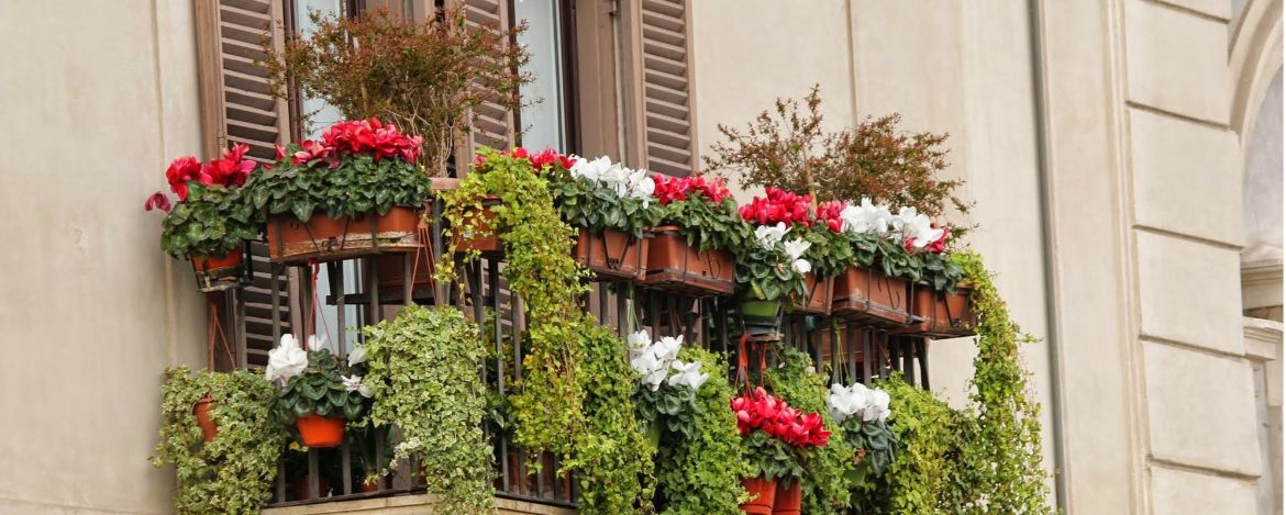 Ein Balkon, der voll gehängt ist mit moosgrünen Pflanzen und weißen und roten Blume n