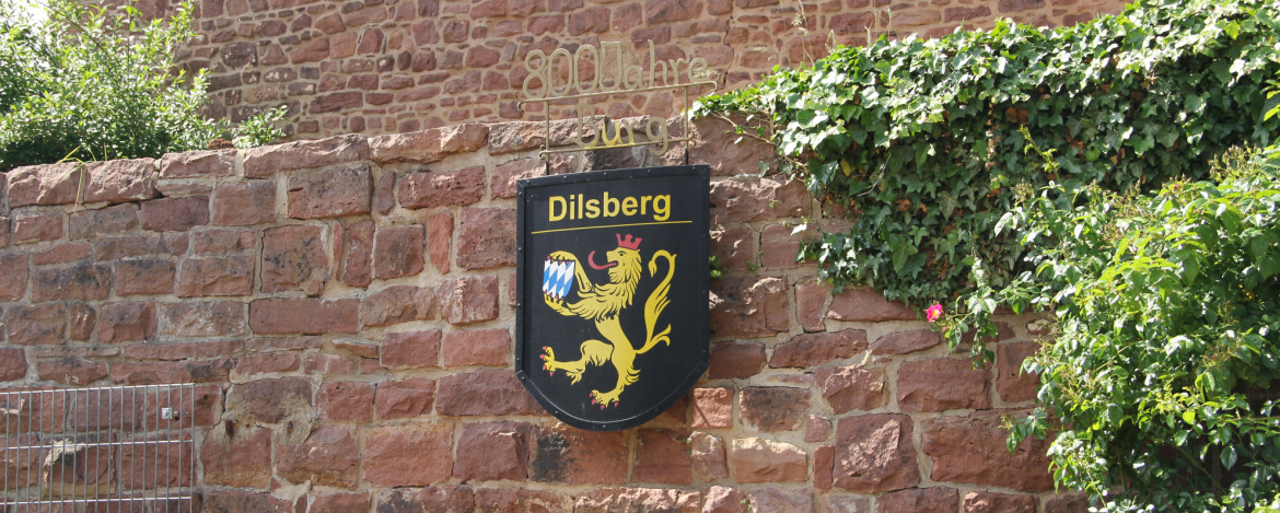 Klassenfahrten Neckargemünd-Dilsberg
