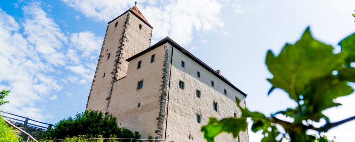 Die altehrwürdige Burganlage Trausnitz