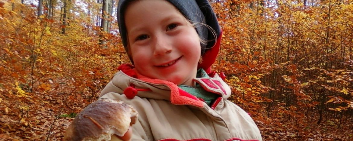Ein lächelndes Mädchen mit Herbstlaub im Hintergrund