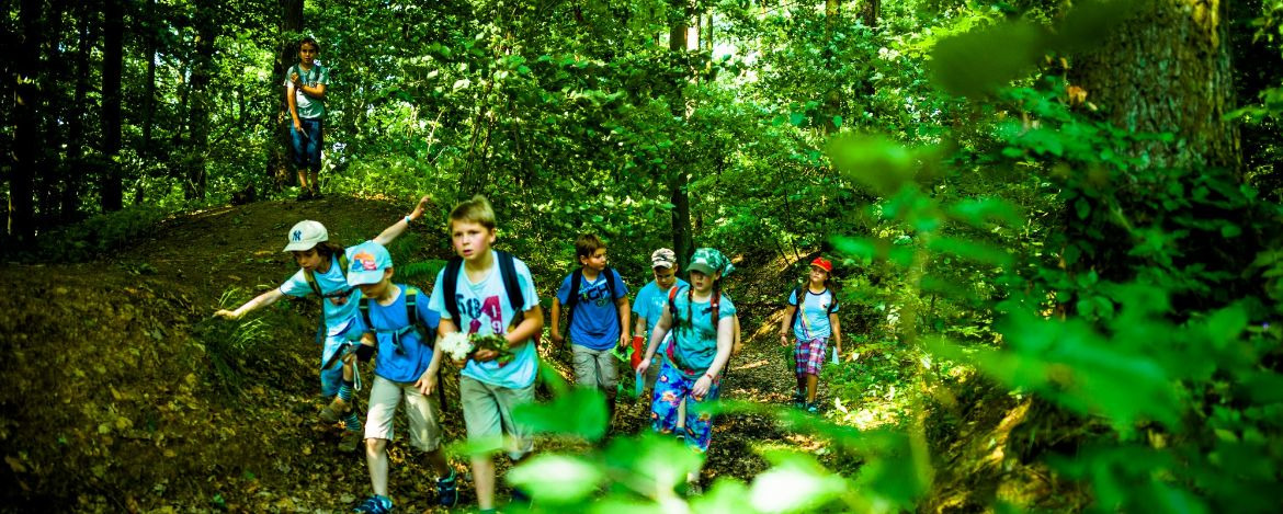 Kinder erkunden auf Klassenfahrt den Wald