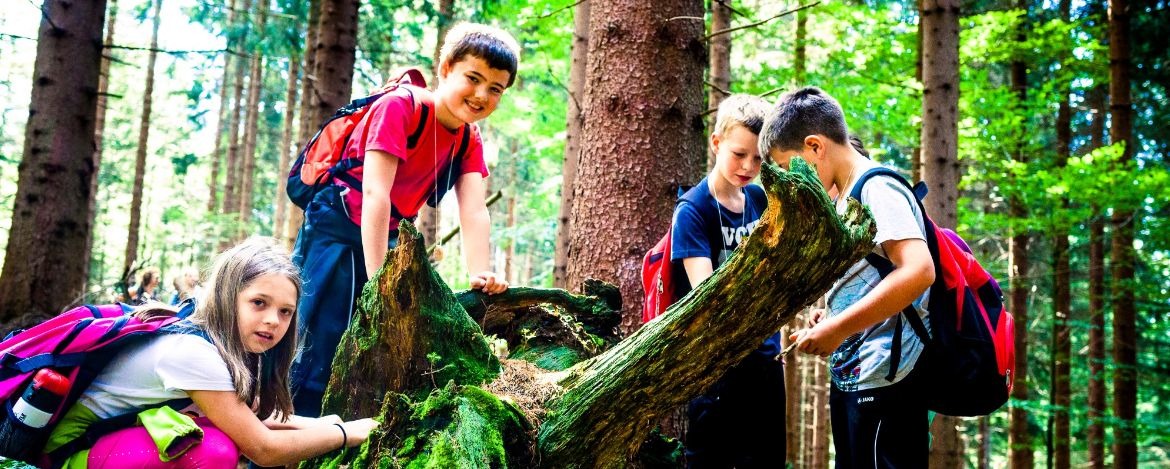 Kinder entdecken während einer Klassenfahrt den Wald als Lebensraum 