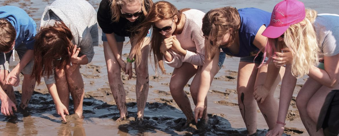 Nordsee erleben beim Feriencamp der Jugendherberge Tönning