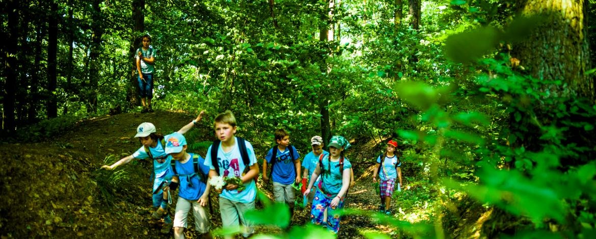 Schüler erkunden den Lebensraum Wald während der Klassenfahrt