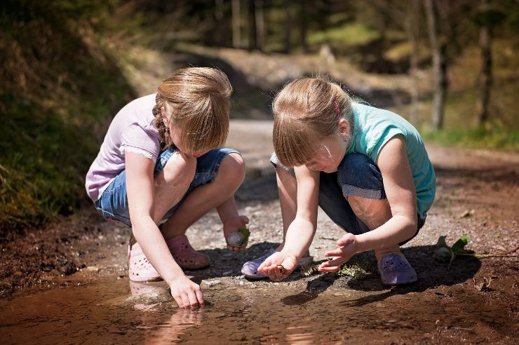 Kinder entdecken die Natur