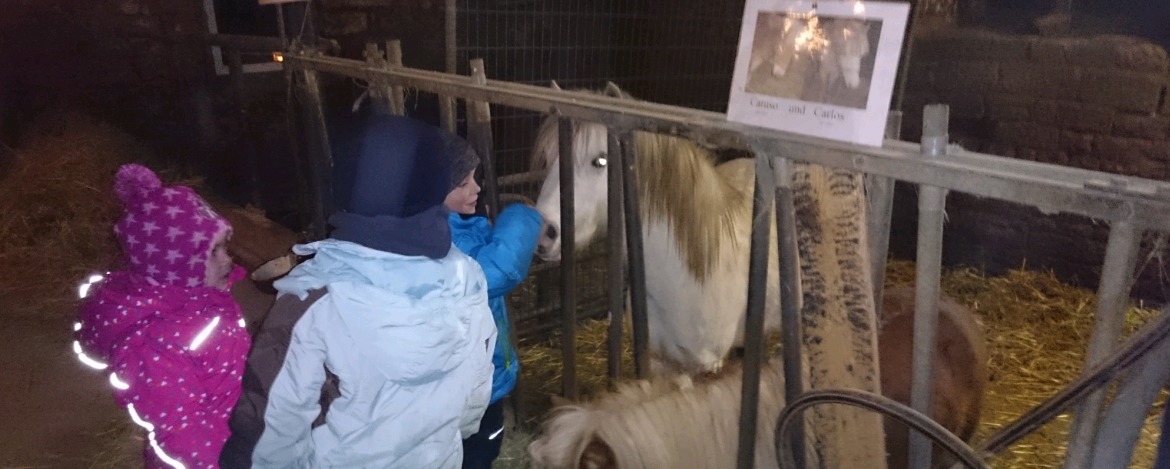 Kinder beim Pony streicheln